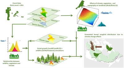 Assessing Pathways of Climate Change Effects in SpaDES: An Application to Boreal Landbirds of Northwest Territories Canada